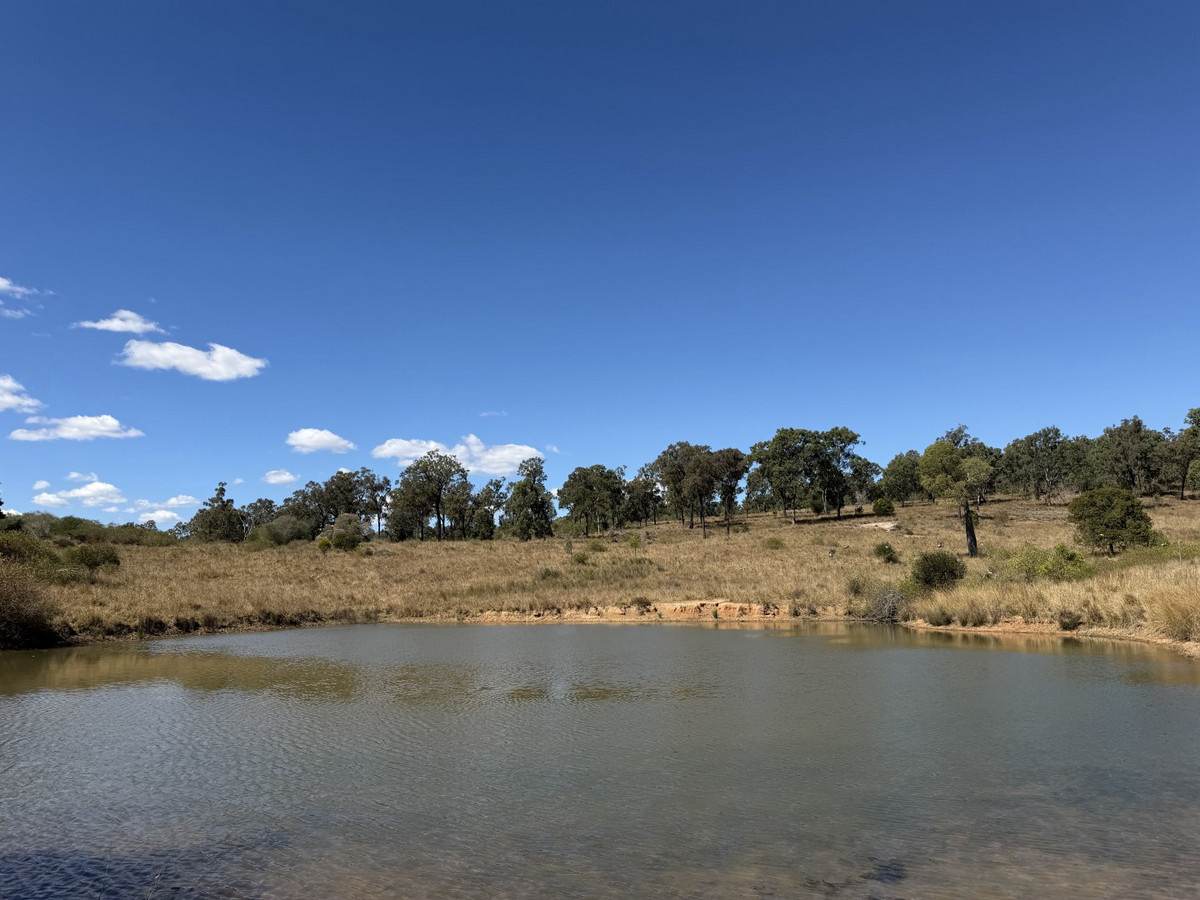 "Hidden Waters" 1944 Yarrol Road, Monto For Sale by Farmbuy.com - image 15