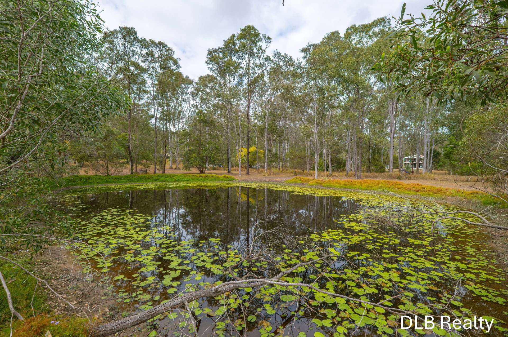 26 Andrew Road, Glenwood For Sale by Farmbuy.com - image 30