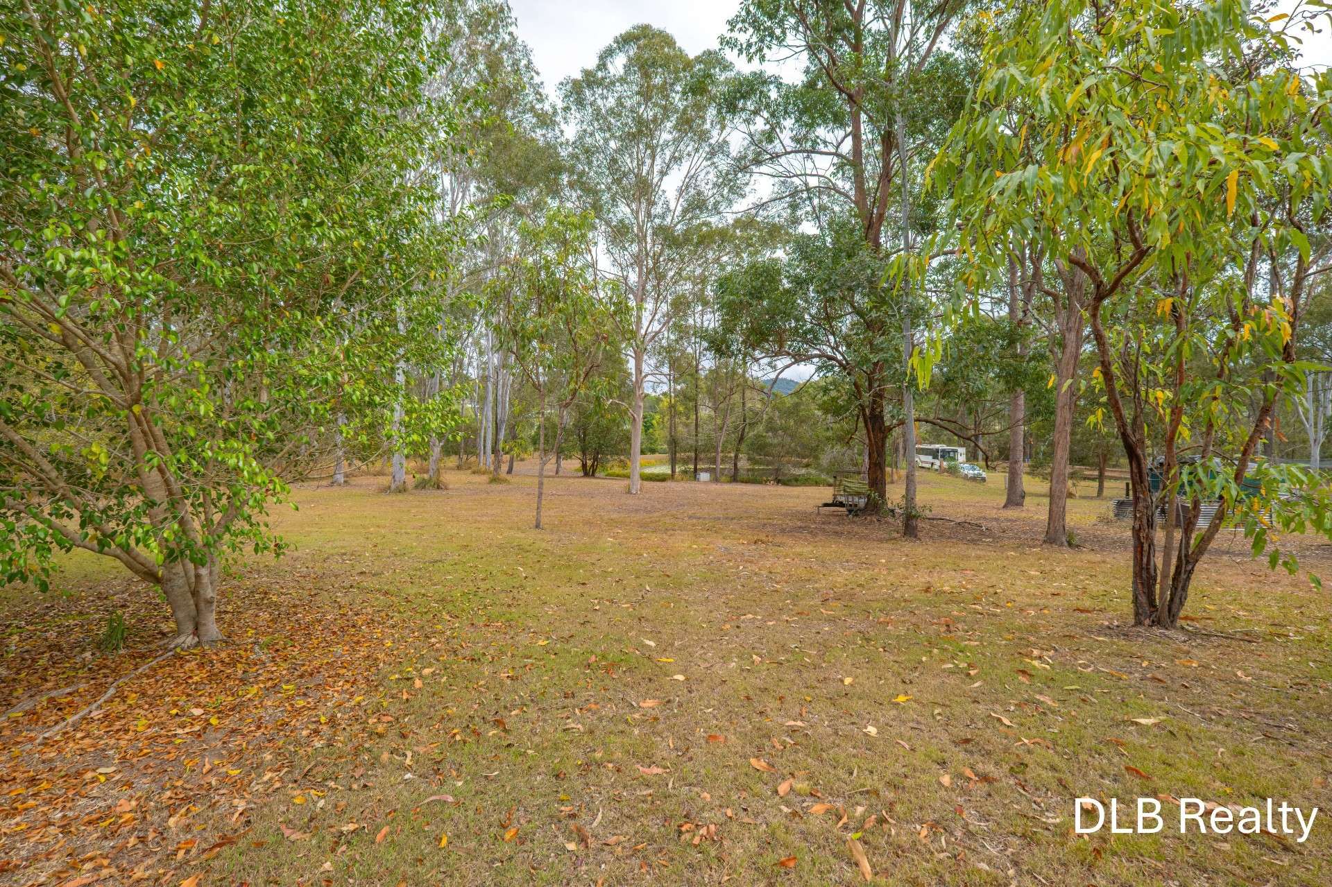 26 Andrew Road, Glenwood For Sale by Farmbuy.com - image 26