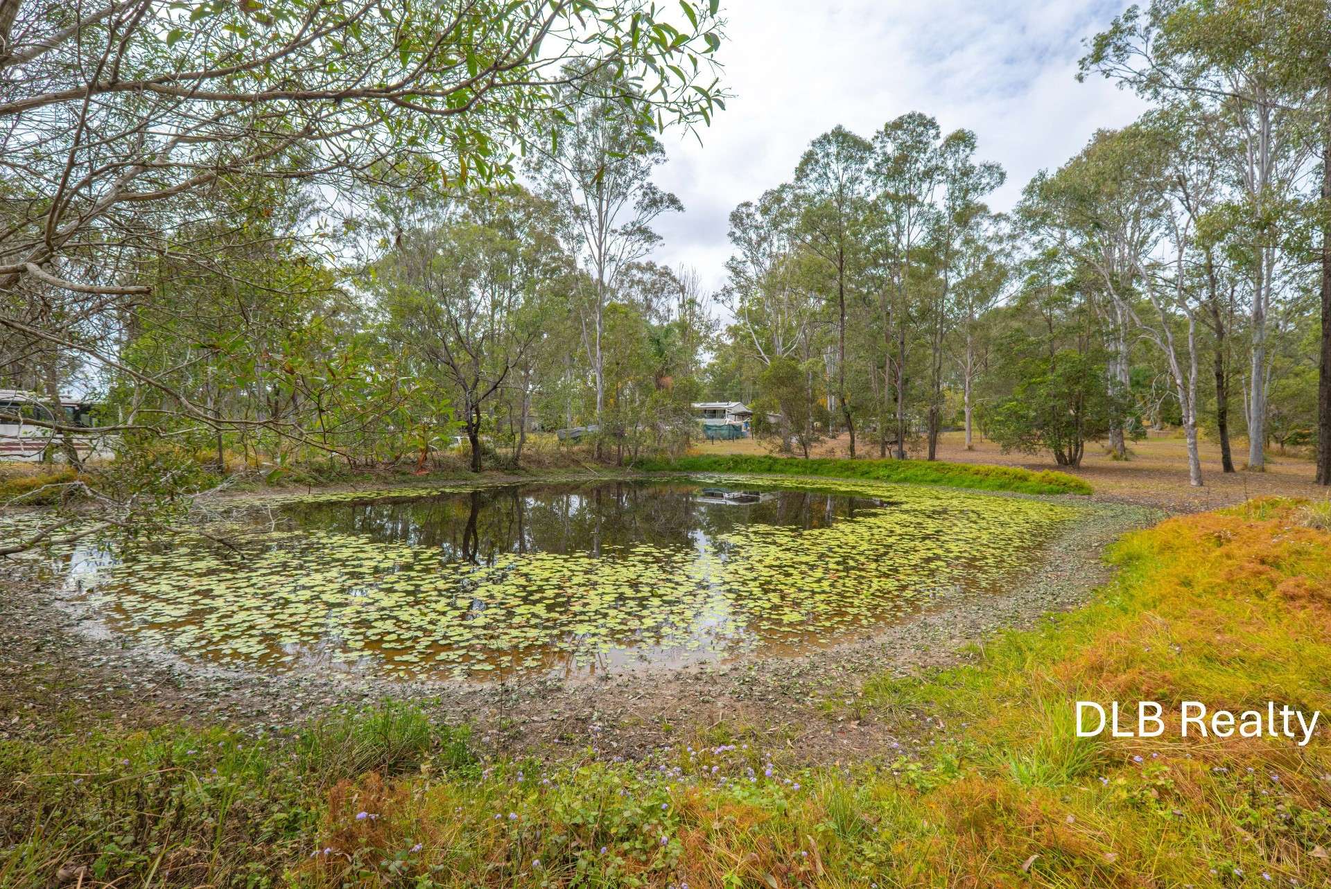 26 Andrew Road, Glenwood For Sale by Farmbuy.com - image 4