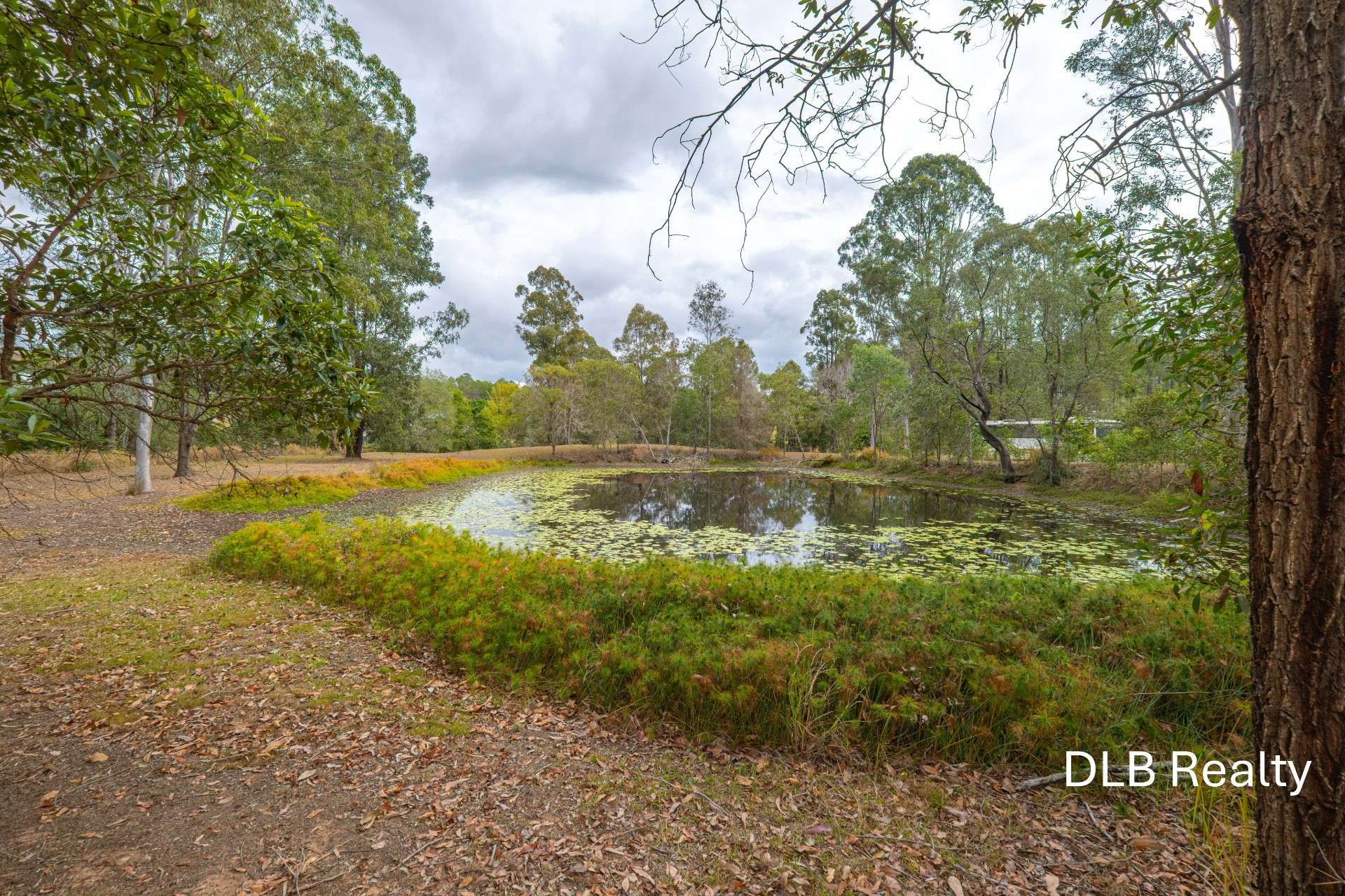 26 Andrew Road, Glenwood For Sale by Farmbuy.com - image 23