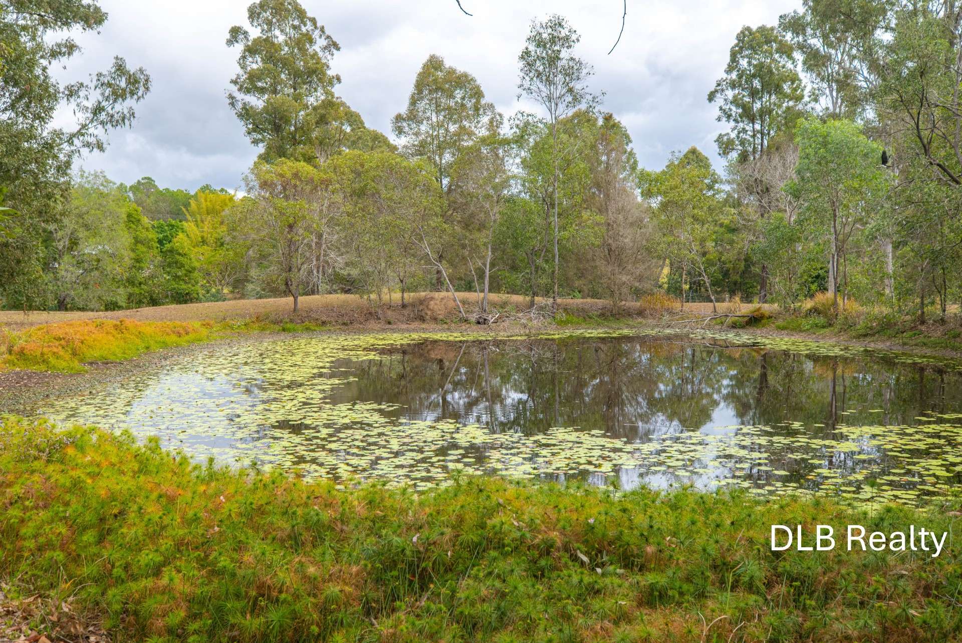 26 Andrew Road, Glenwood For Sale by Farmbuy.com - image 22