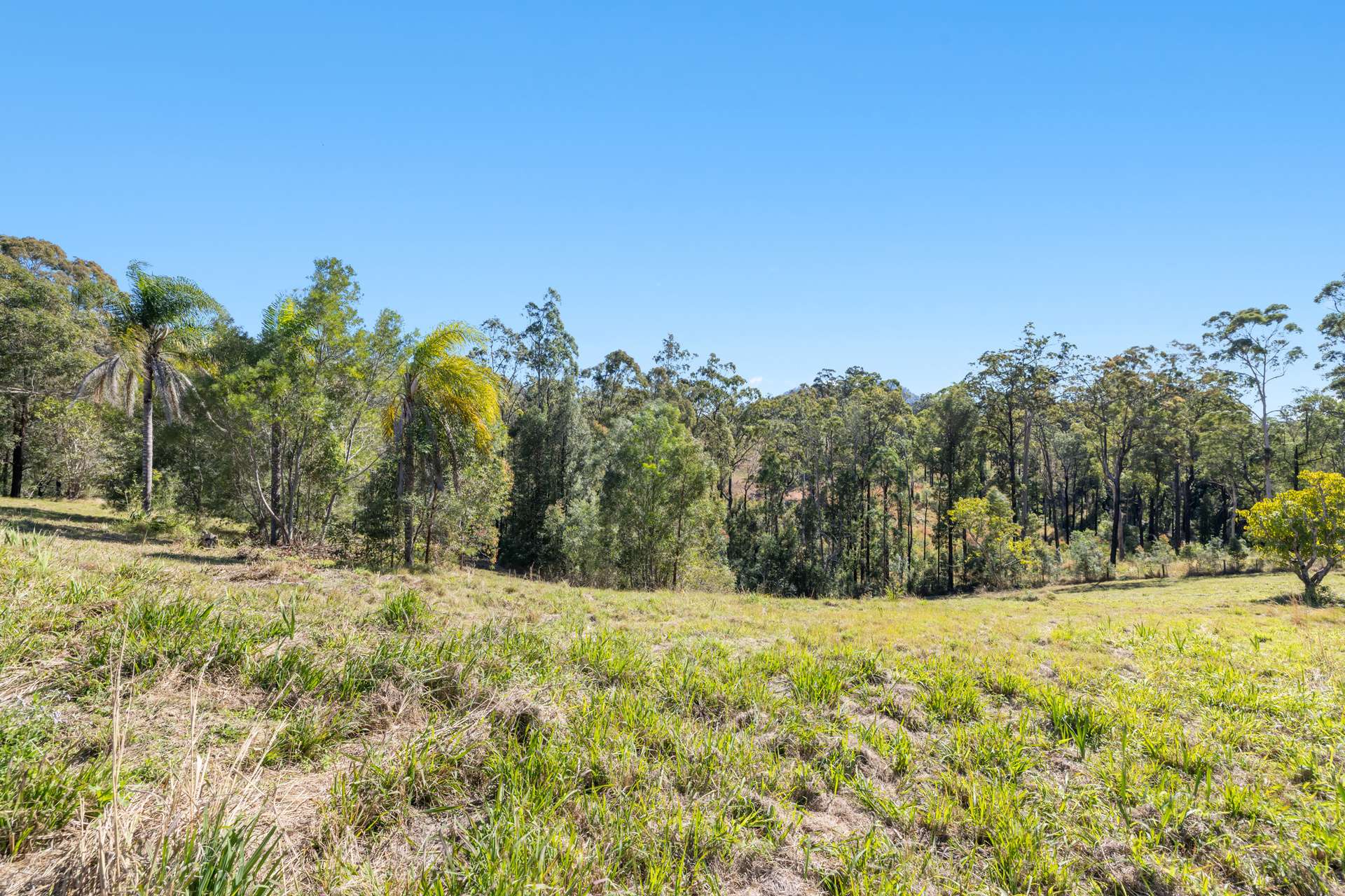 46 Kosekai Road, Yarranbella For Sale by Farmbuy.com - image 18