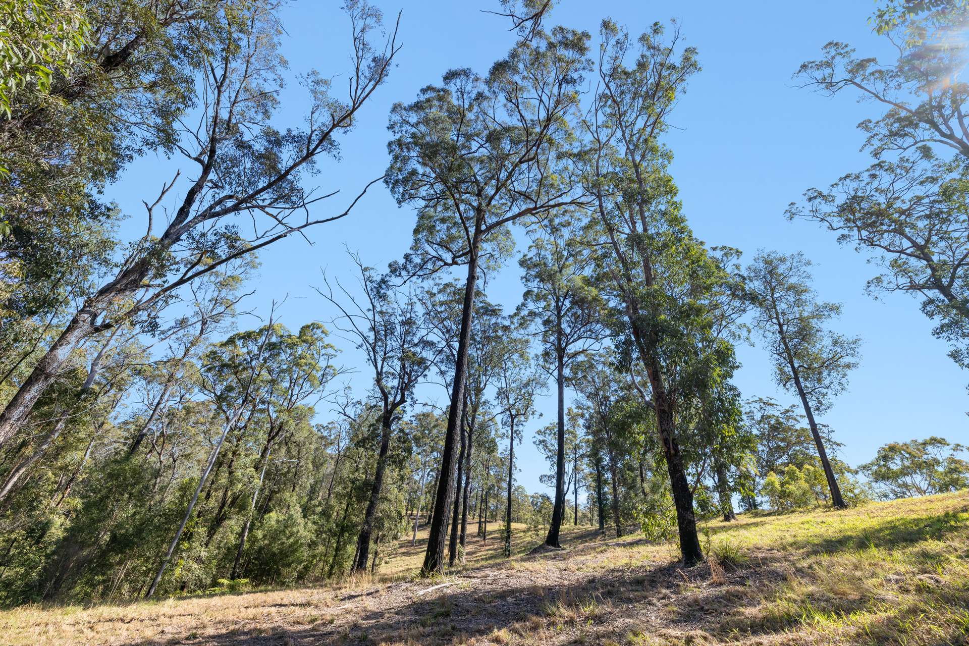 46 Kosekai Road, Yarranbella For Sale by Farmbuy.com - image 21