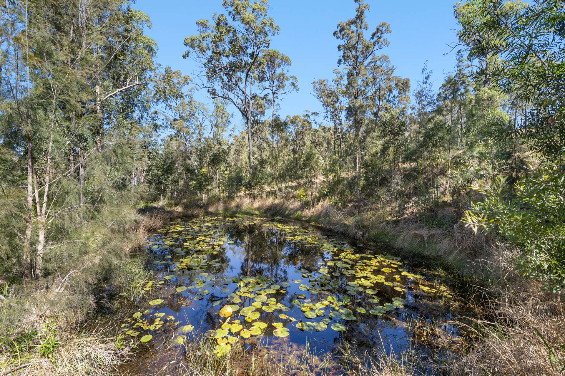 46 Kosekai Road, Yarranbella For Sale by Farmbuy.com - image 4