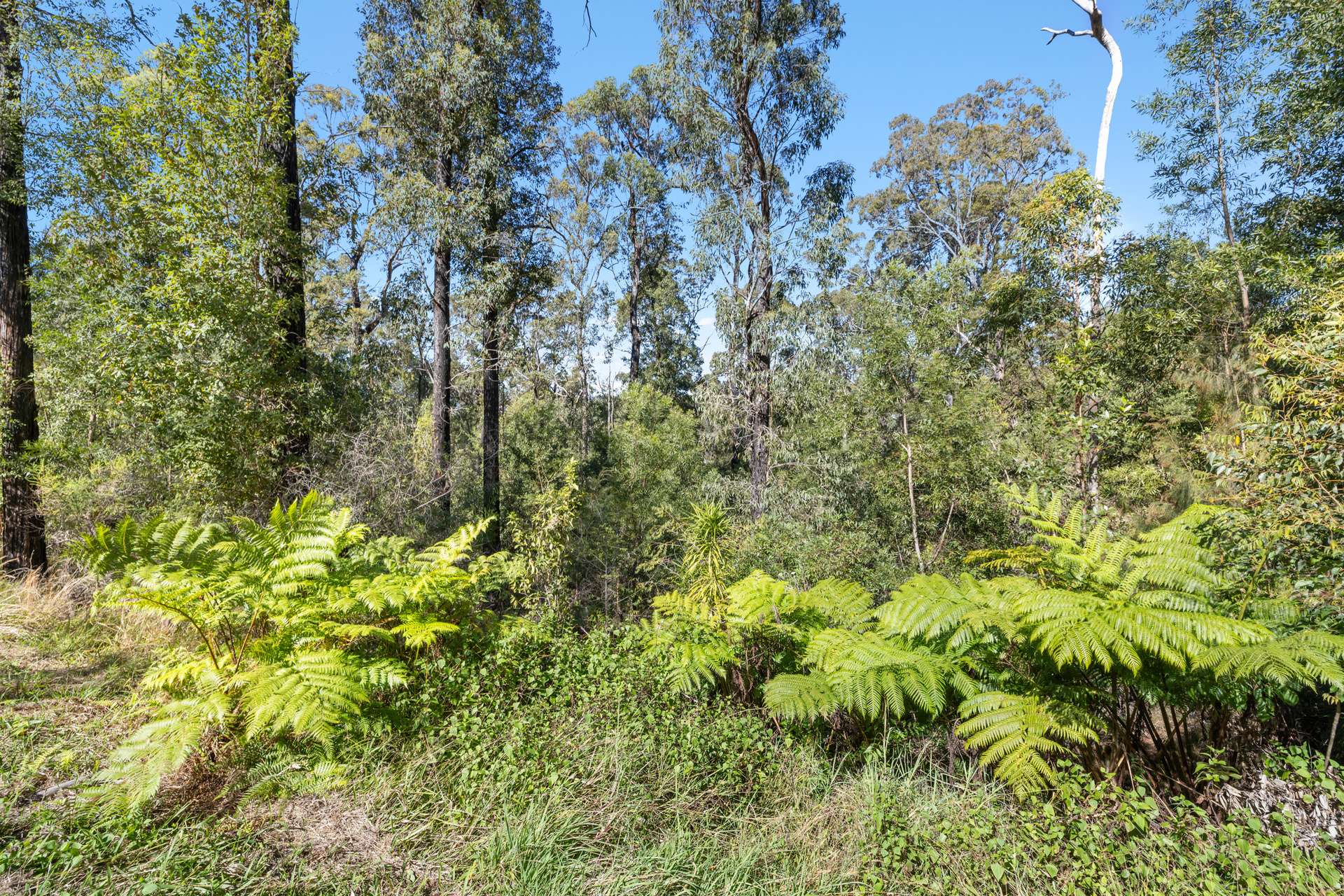 46 Kosekai Road, Yarranbella For Sale by Farmbuy.com - image 19