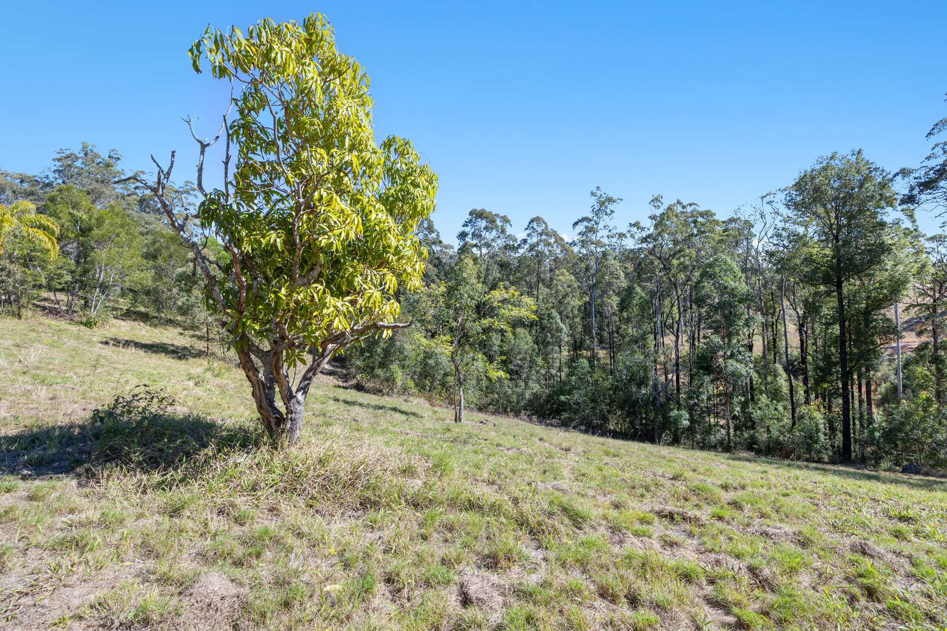 46 Kosekai Road, Yarranbella For Sale by Farmbuy.com - image 17