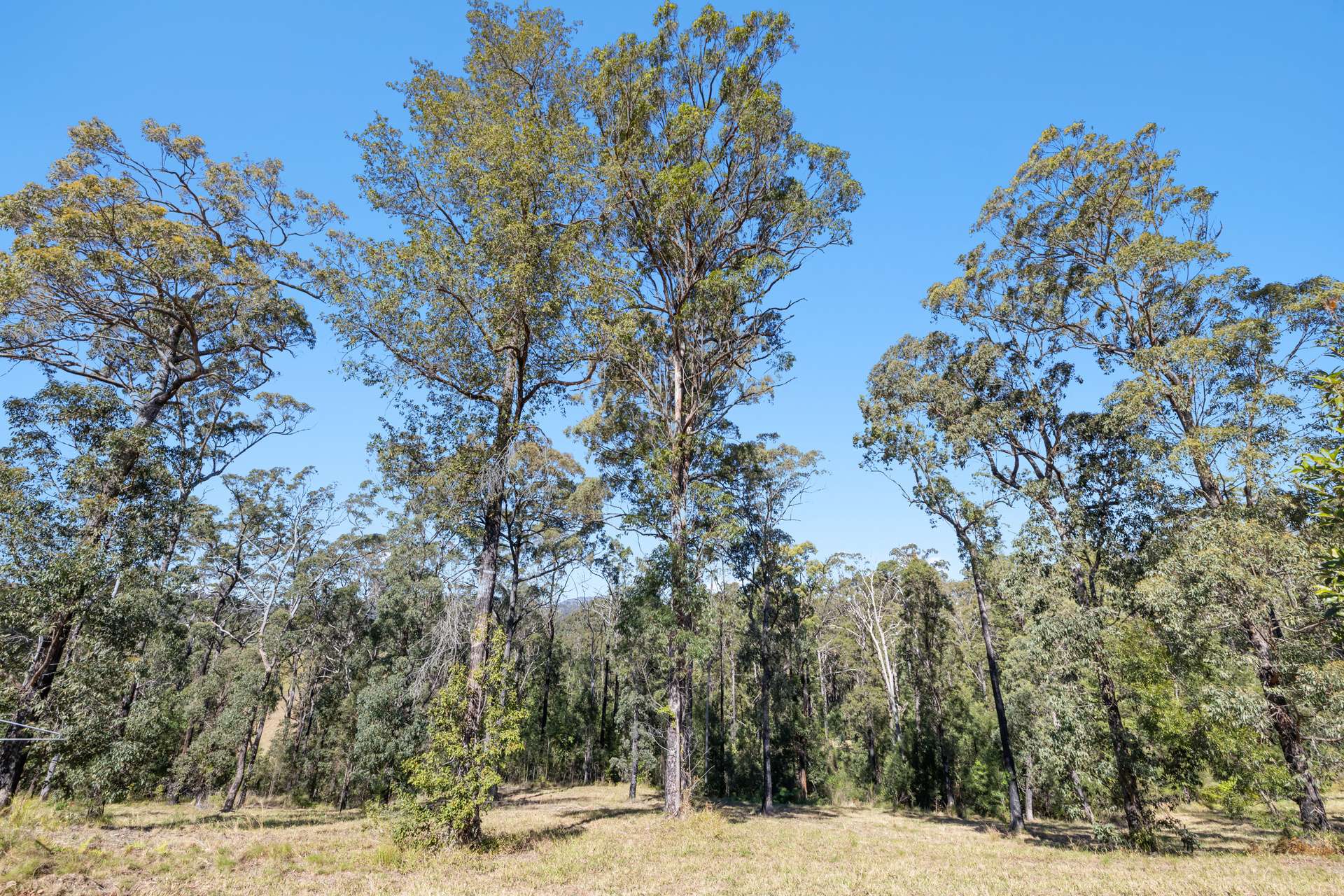 46 Kosekai Road, Yarranbella For Sale by Farmbuy.com - image 20