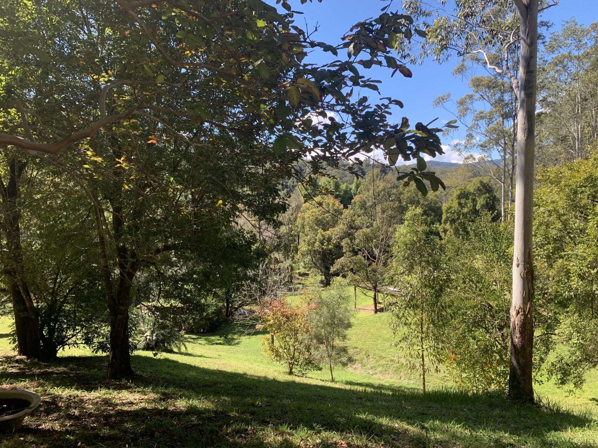 1967 Kalang Road, Kalang For Sale by Farmbuy.com - image 4
