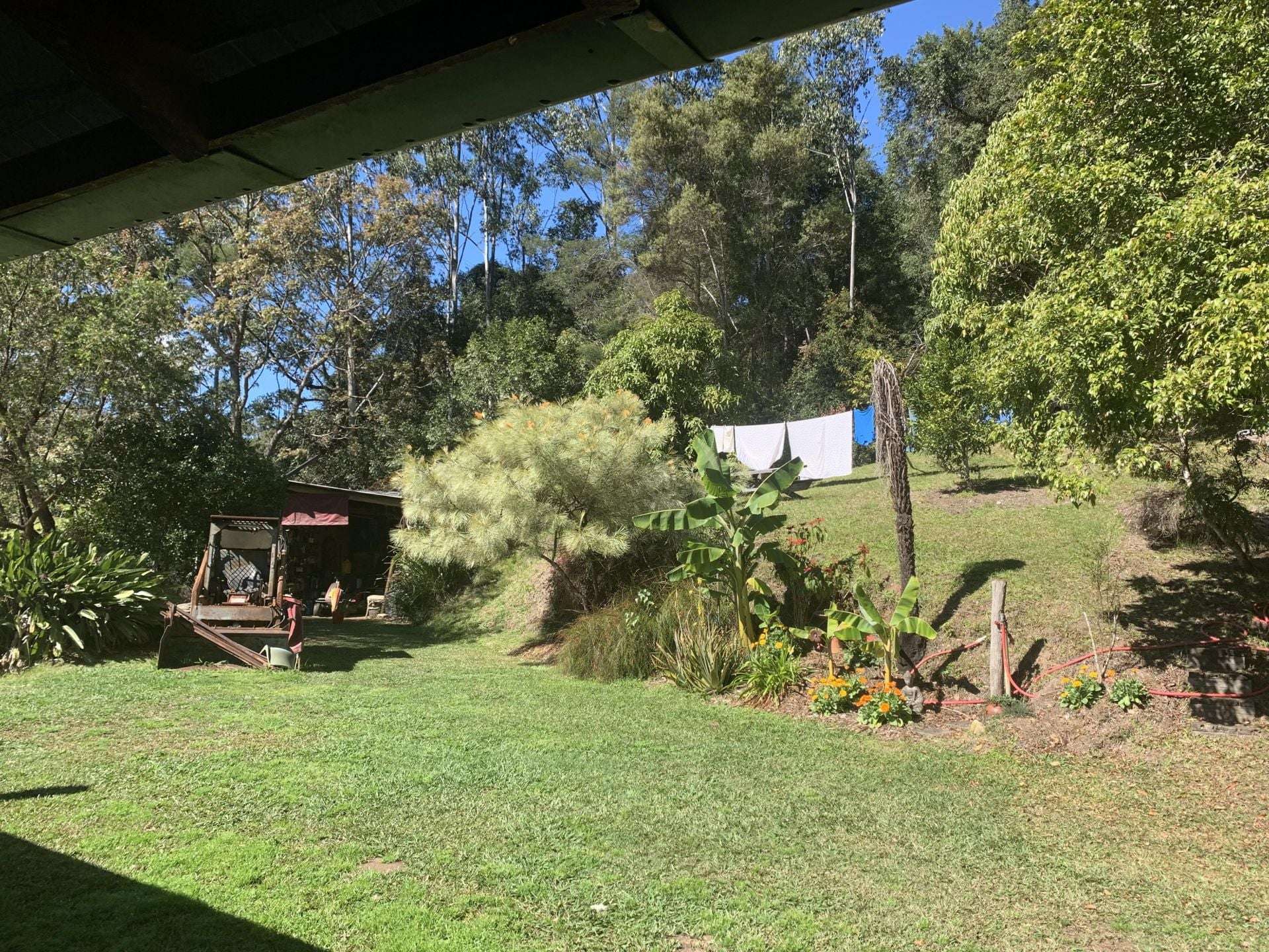 1967 Kalang Road, Kalang For Sale by Farmbuy.com - image 29