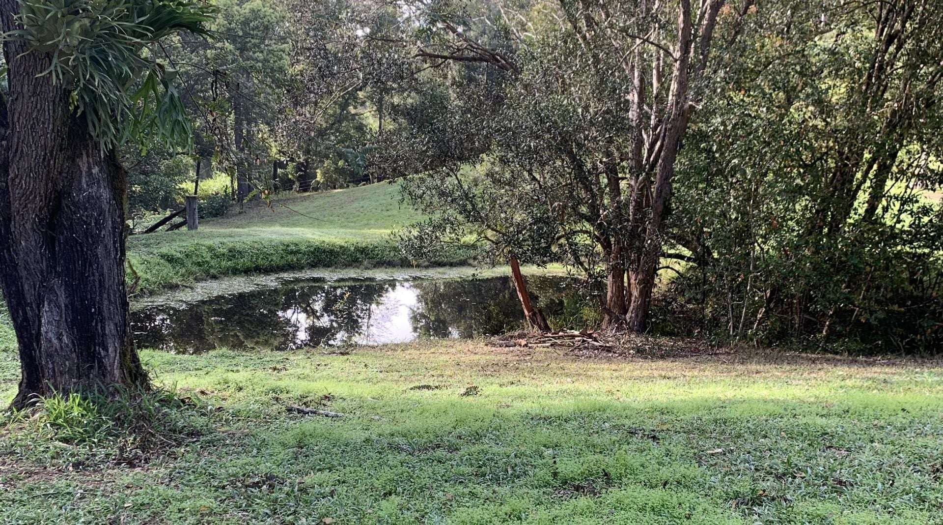 1967 Kalang Road, Kalang For Sale by Farmbuy.com - image 9