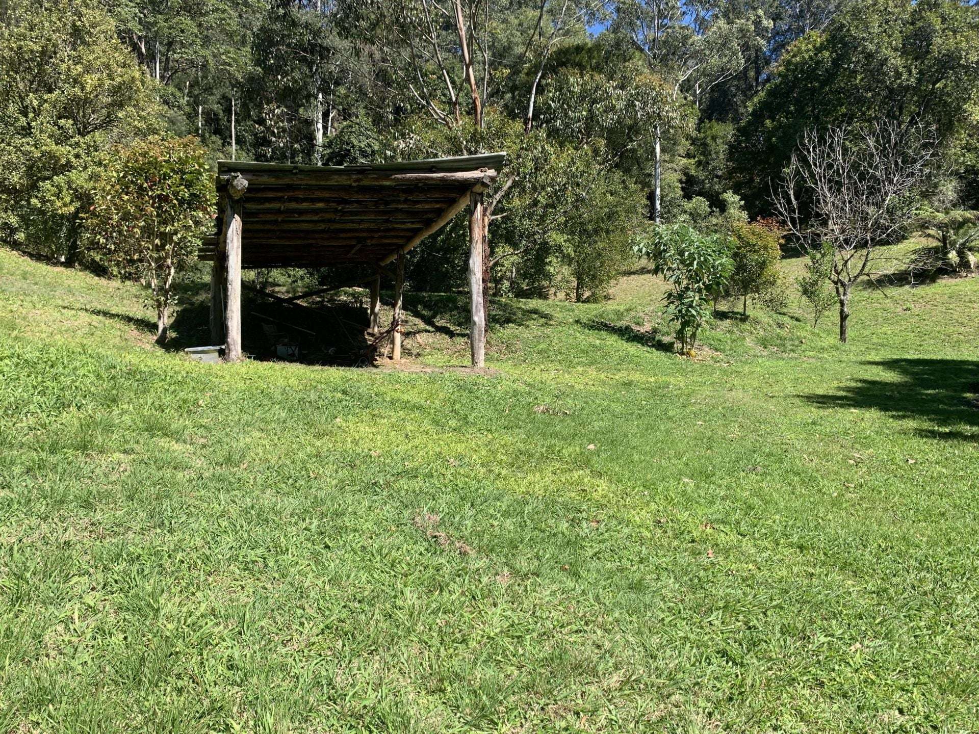 1967 Kalang Road, Kalang For Sale by Farmbuy.com - image 8