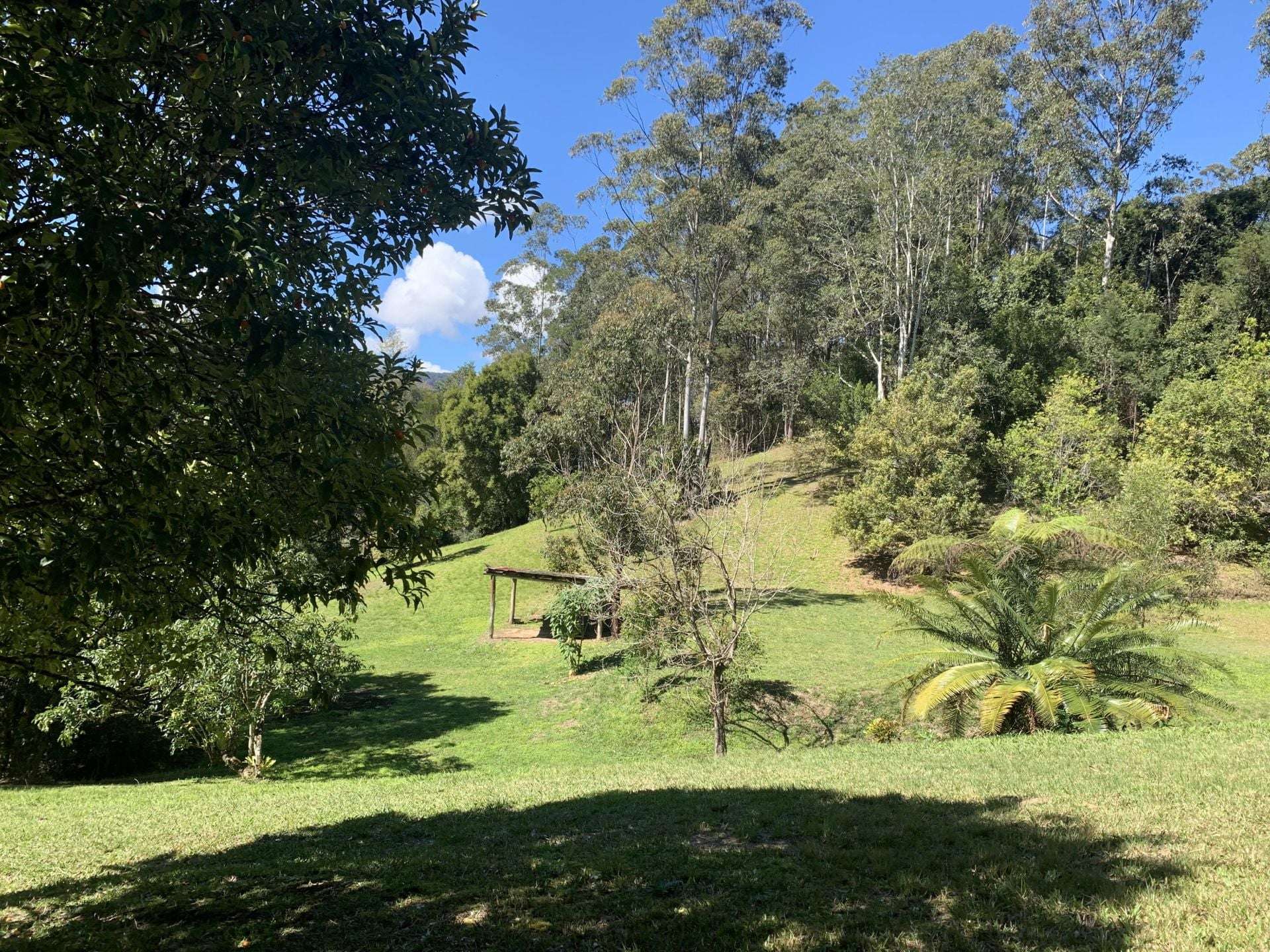 1967 Kalang Road, Kalang For Sale by Farmbuy.com - image 5