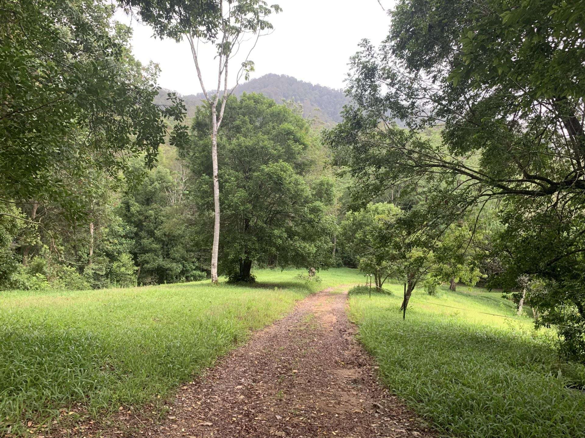 1967 Kalang Road, Kalang For Sale by Farmbuy.com - image 3