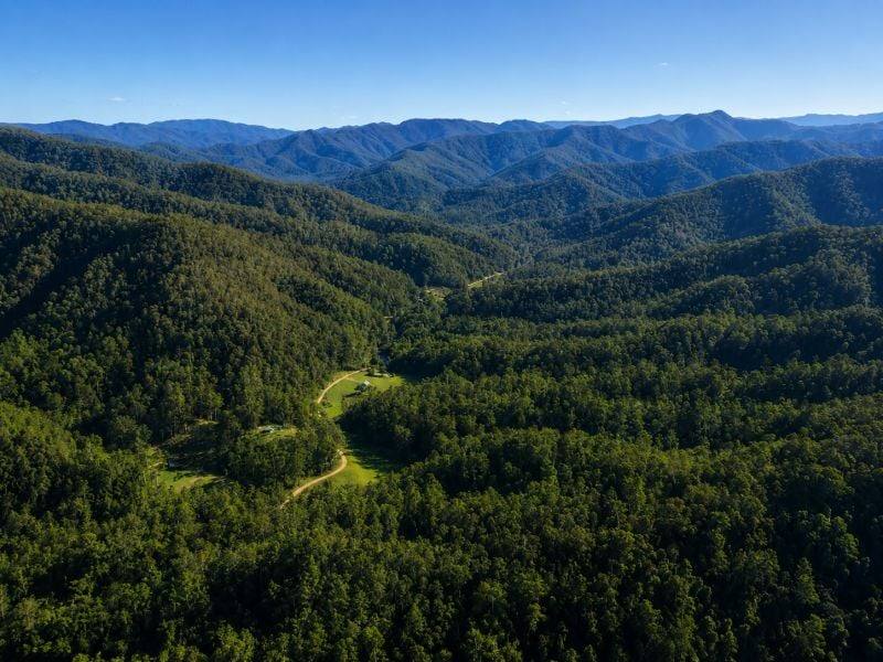 1967 Kalang Road, Kalang For Sale by Farmbuy.com - image 34