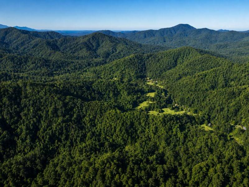 1967 Kalang Road, Kalang For Sale by Farmbuy.com - image 35