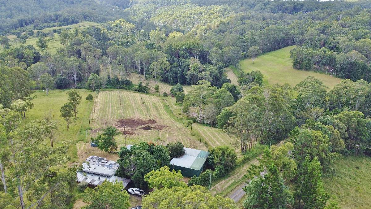 209 Billen Road, Georgica For Sale by Farmbuy.com - image 26