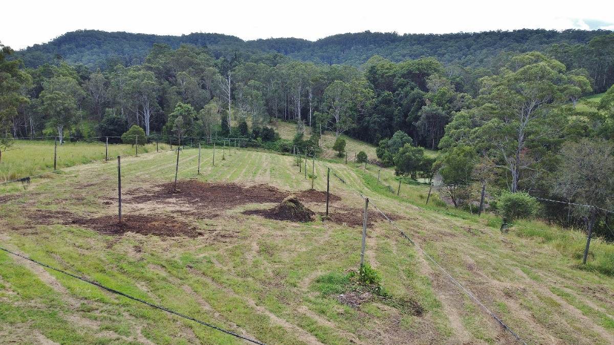 209 Billen Road, Georgica For Sale by Farmbuy.com - image 28