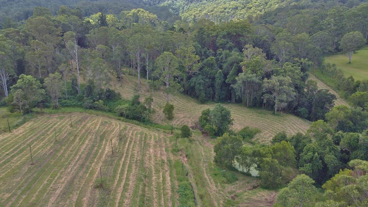 209 Billen Road, Georgica For Sale by Farmbuy.com - image 24