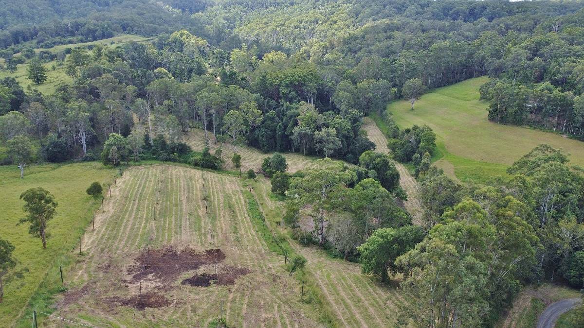 209 Billen Road, Georgica For Sale by Farmbuy.com - image 25