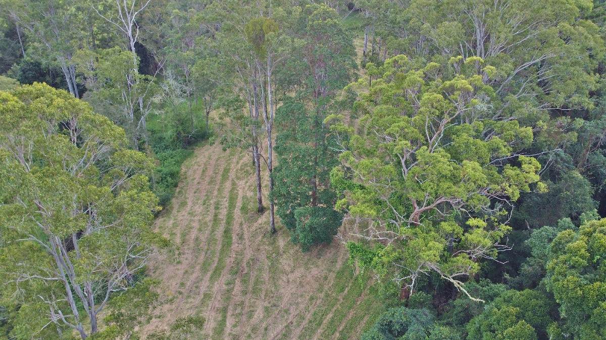 209 Billen Road, Georgica For Sale by Farmbuy.com - image 21