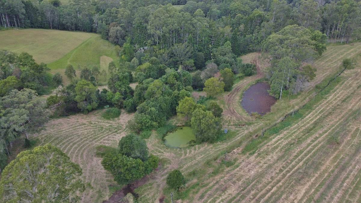 209 Billen Road, Georgica For Sale by Farmbuy.com - image 22