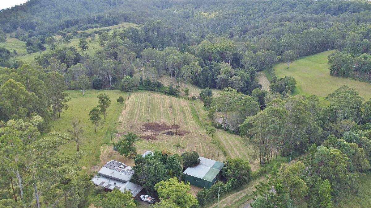 209 Billen Road, Georgica For Sale by Farmbuy.com - image 33