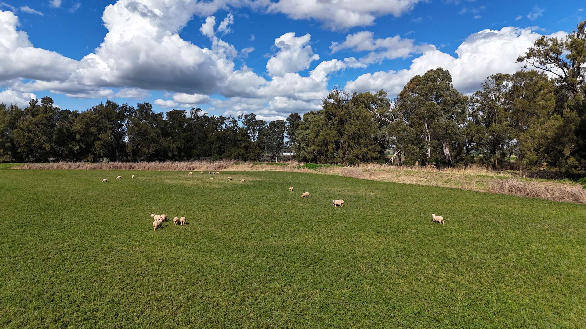896 Fish Fossil Drive, Canowindra Auction by Farmbuy.com - image 7