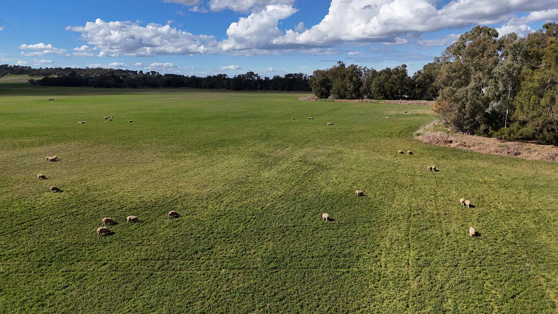 896 Fish Fossil Drive, Canowindra Auction by Farmbuy.com - image 9