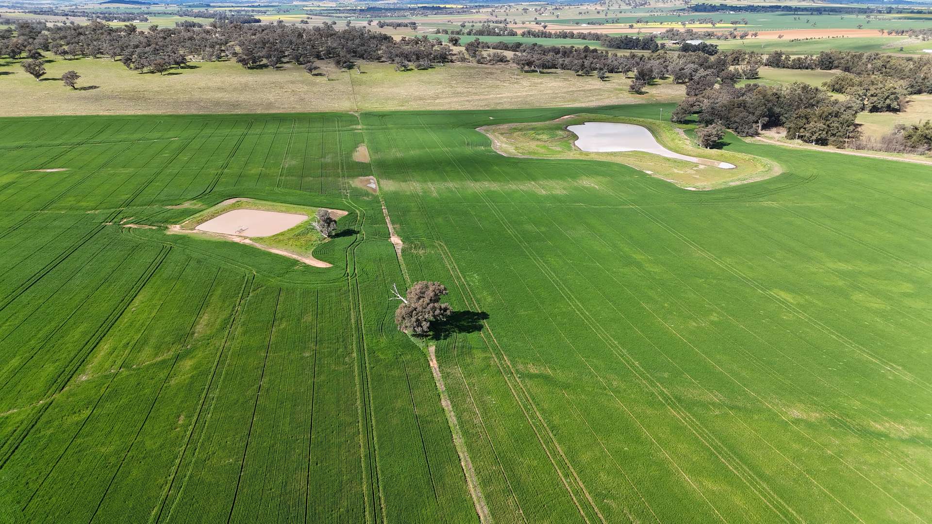896 Fish Fossil Drive, Canowindra Auction by Farmbuy.com - image 10