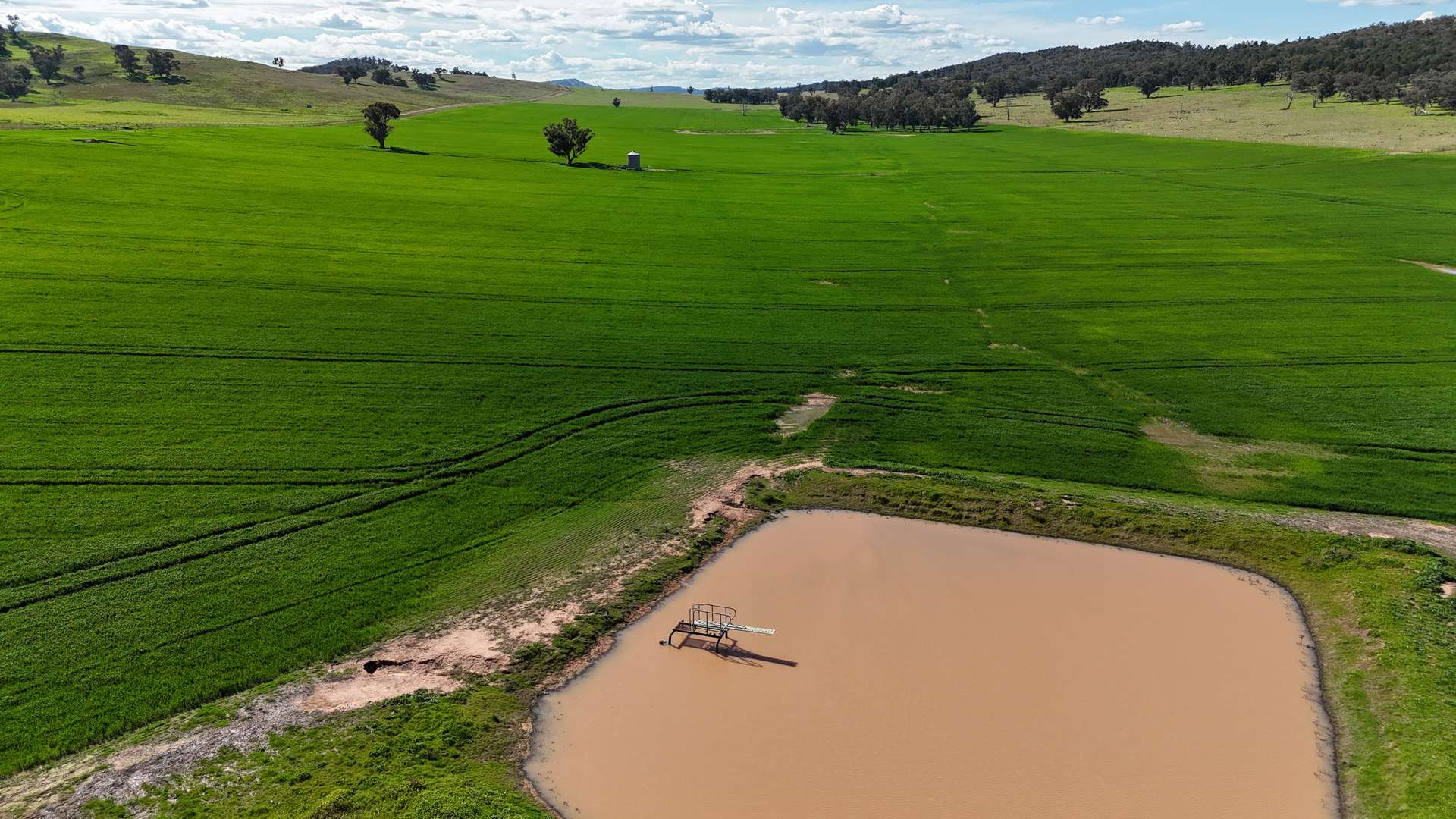 896 Fish Fossil Drive, Canowindra Auction by Farmbuy.com - image 8