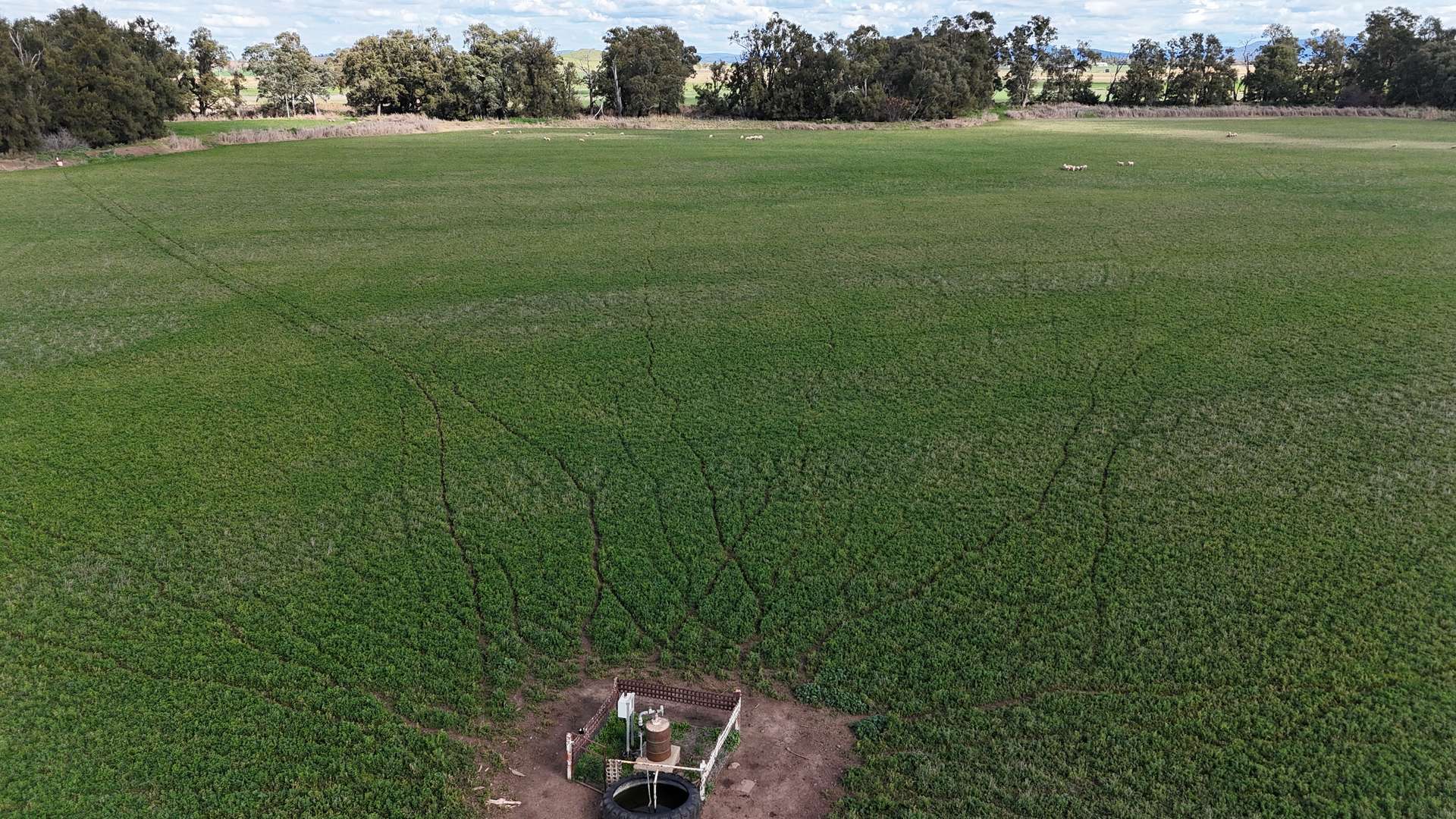 896 Fish Fossil Drive, Canowindra Auction by Farmbuy.com - image 11