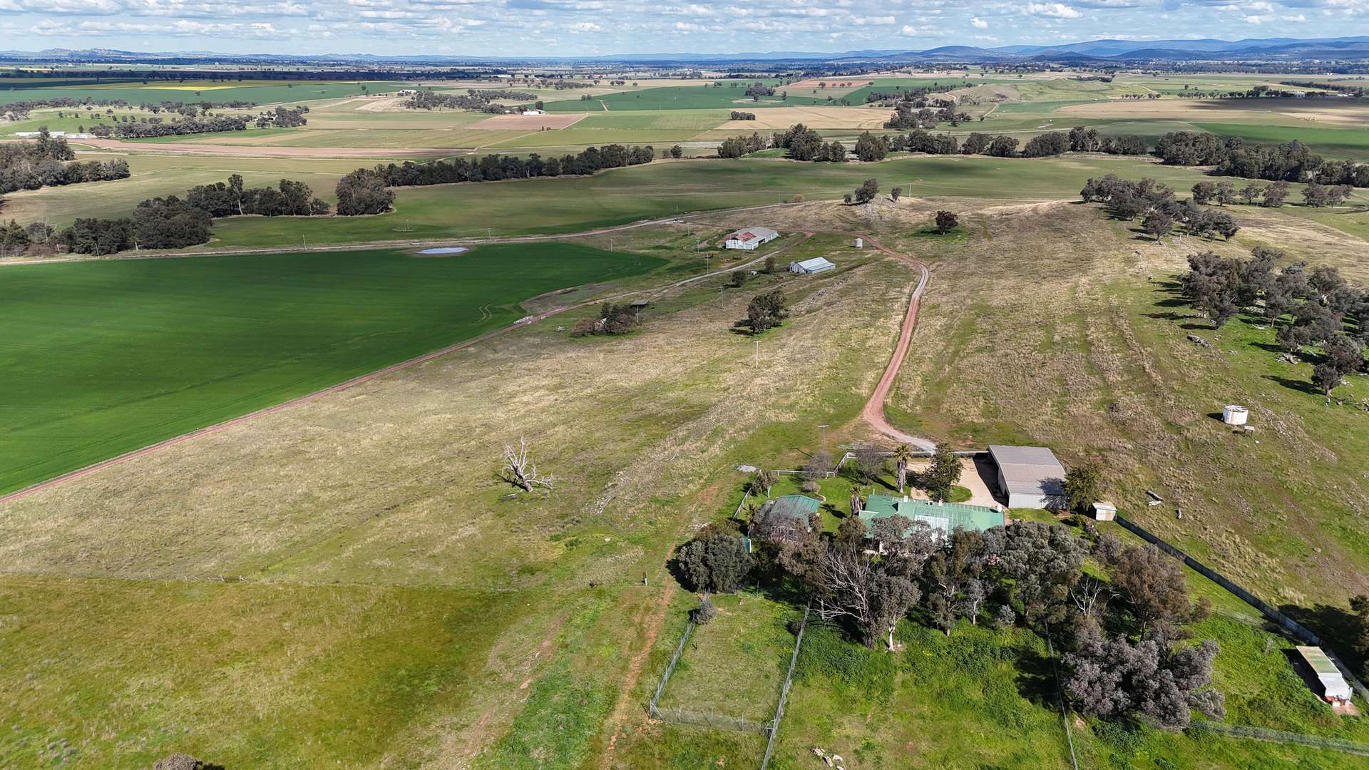 896 Fish Fossil Drive, Canowindra Auction by Farmbuy.com - image 20