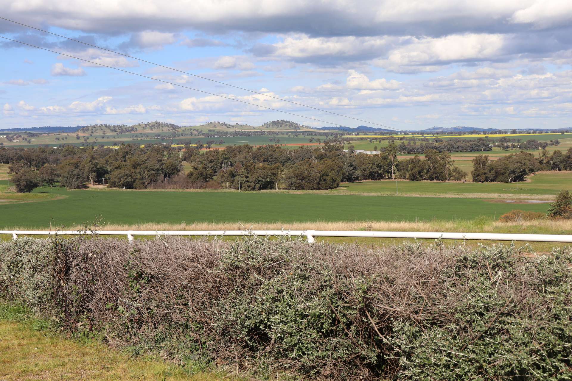 896 Fish Fossil Drive, Canowindra Auction by Farmbuy.com - image 28