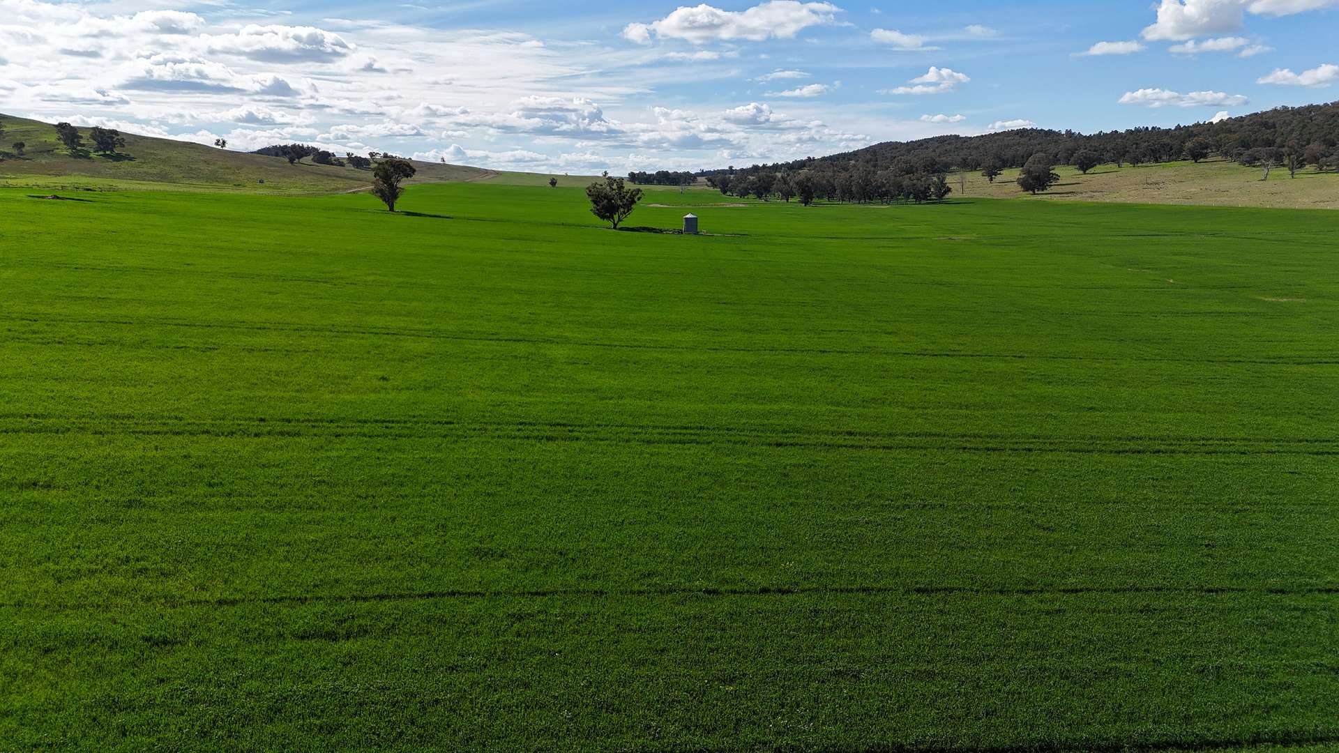 896 Fish Fossil Drive, Canowindra Auction by Farmbuy.com - image 17