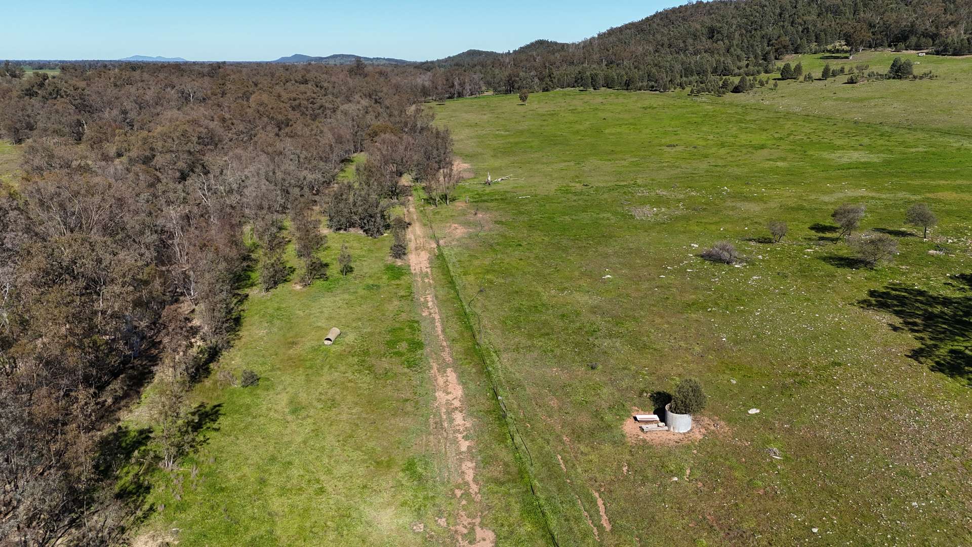 1 Yarrangong Road, Forbes For Sale by Farmbuy.com - image 10