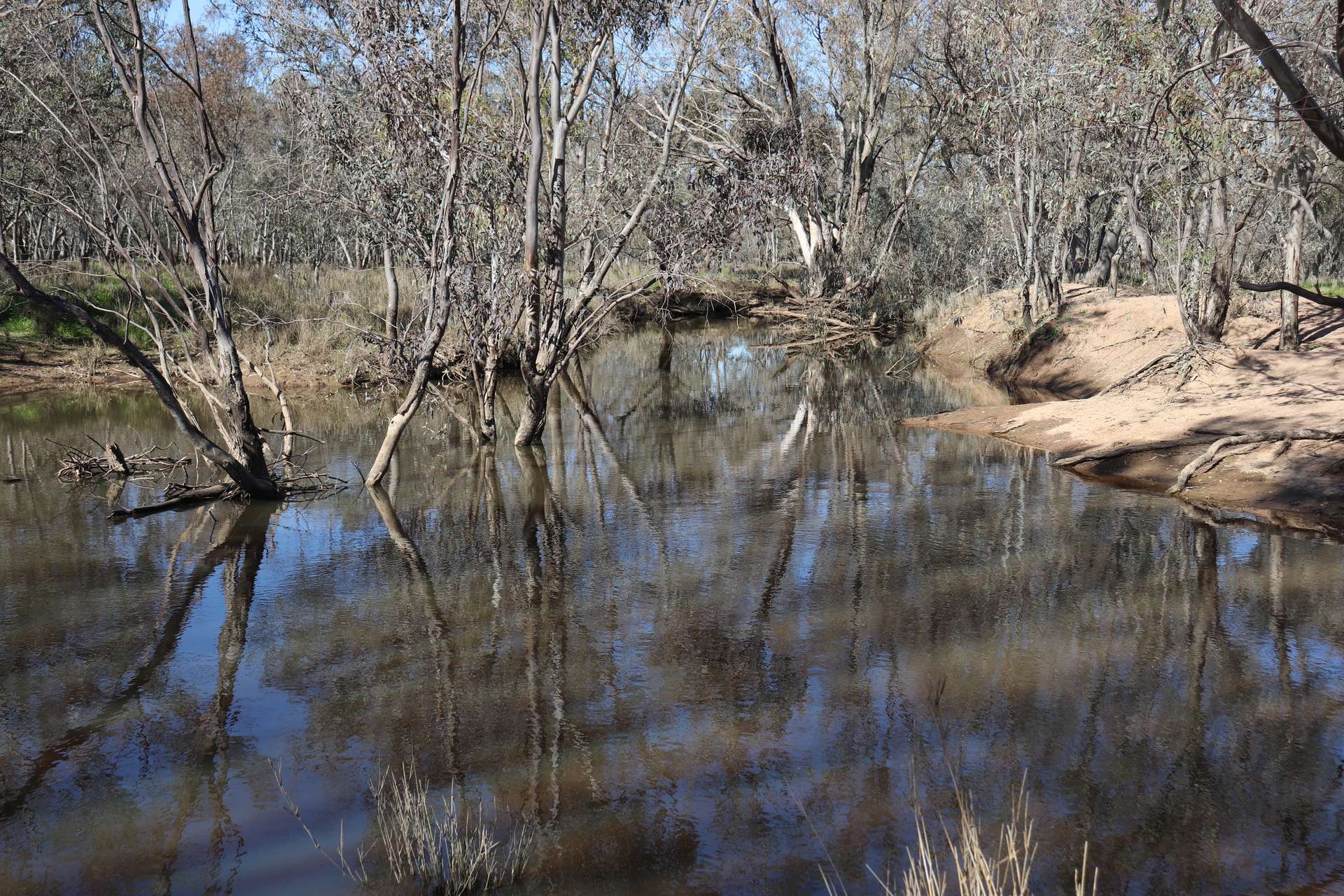 1 Yarrangong Road, Forbes For Sale by Farmbuy.com - image 15