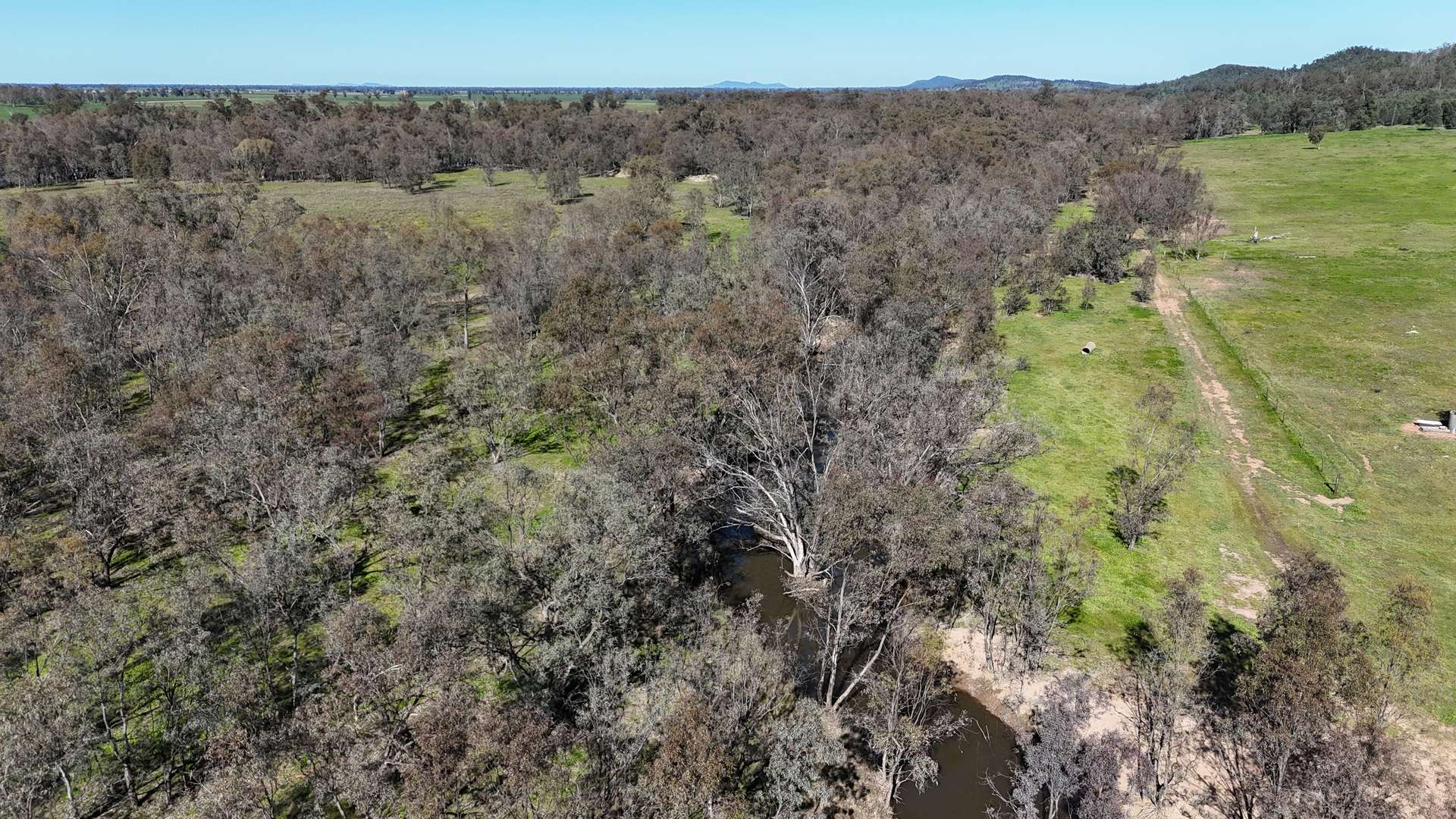 1 Yarrangong Road, Forbes For Sale by Farmbuy.com - image 9