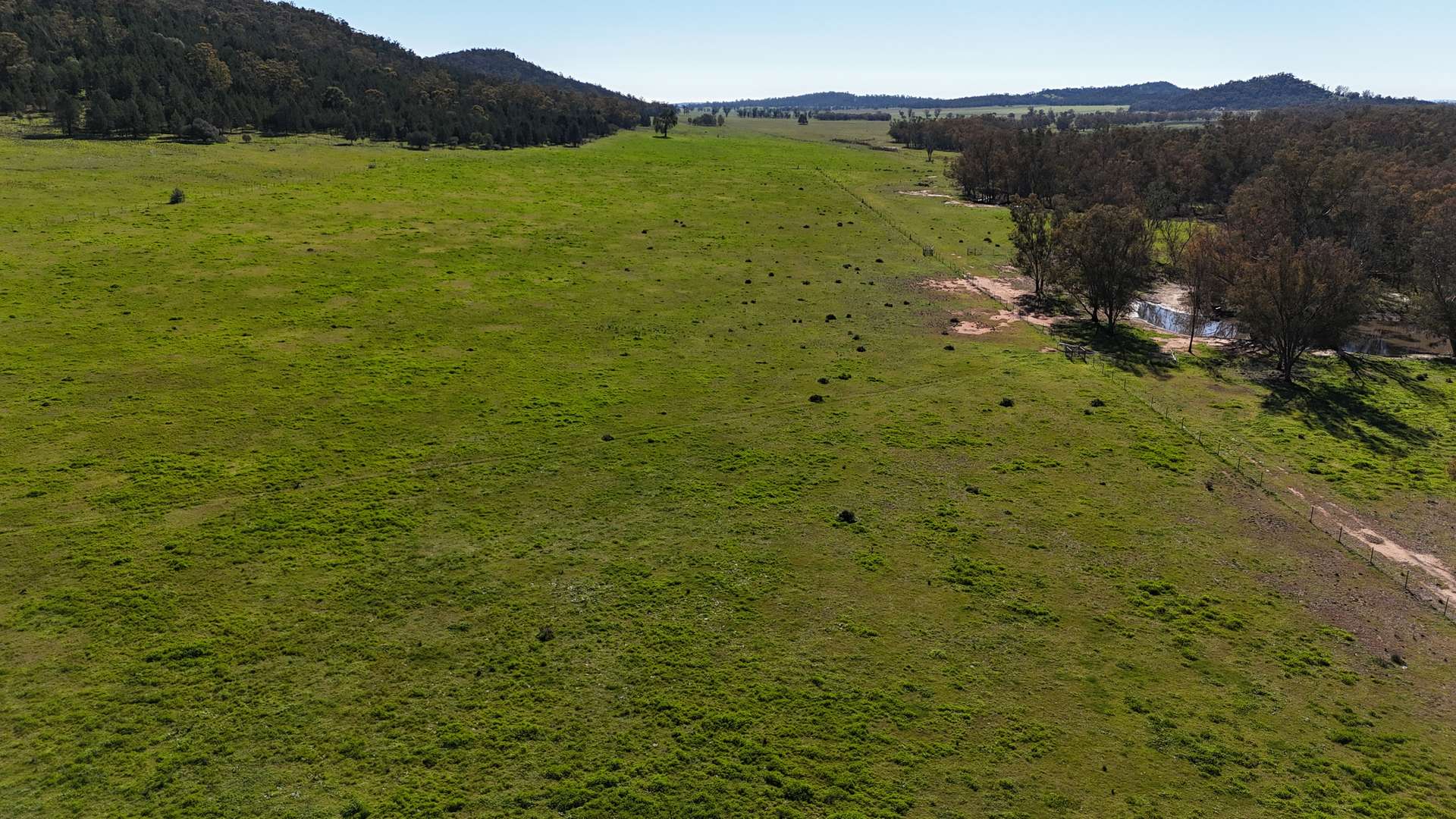 1 Yarrangong Road, Forbes For Sale by Farmbuy.com - image 8