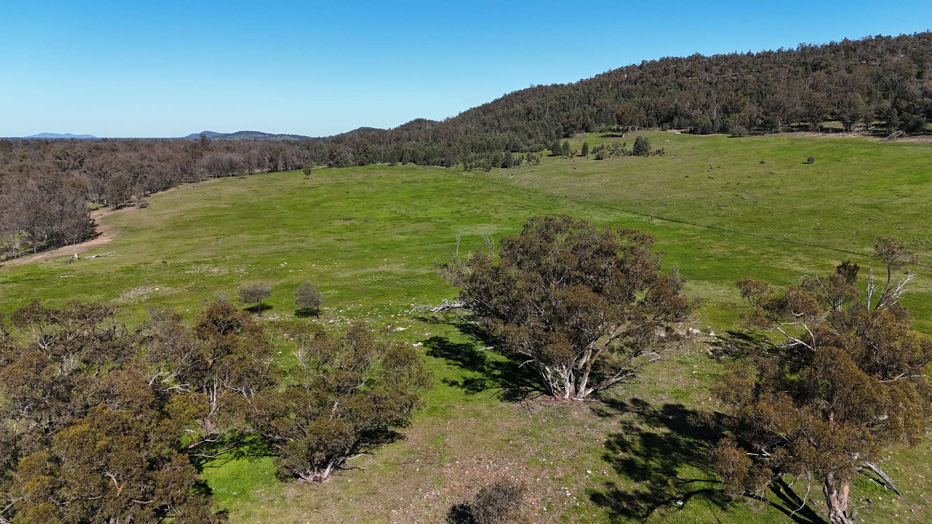 1 Yarrangong Road, Forbes For Sale by Farmbuy.com - image 12