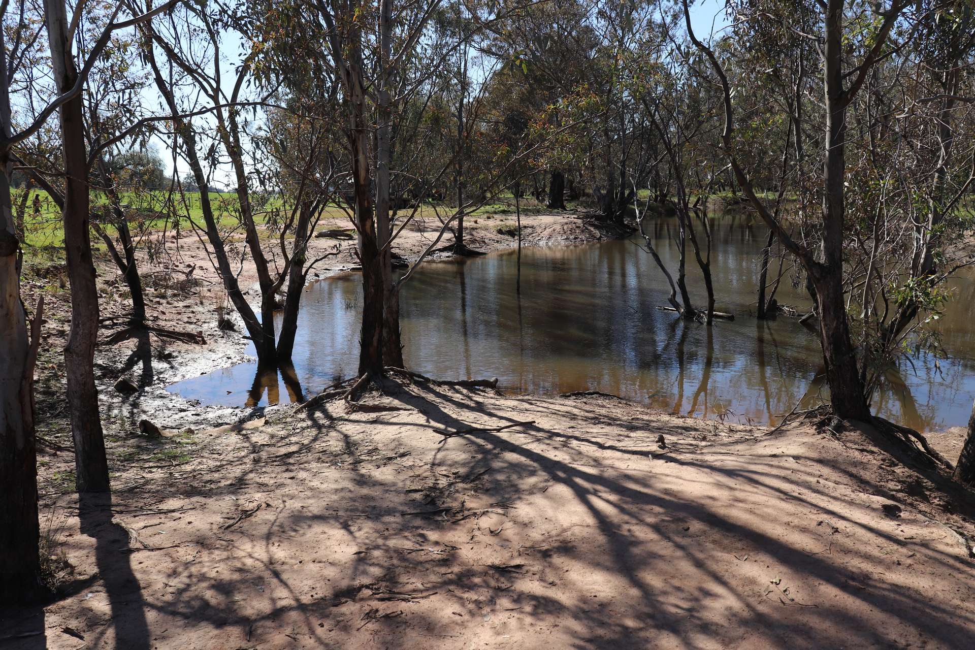 1 Yarrangong Road, Forbes For Sale by Farmbuy.com - image 13