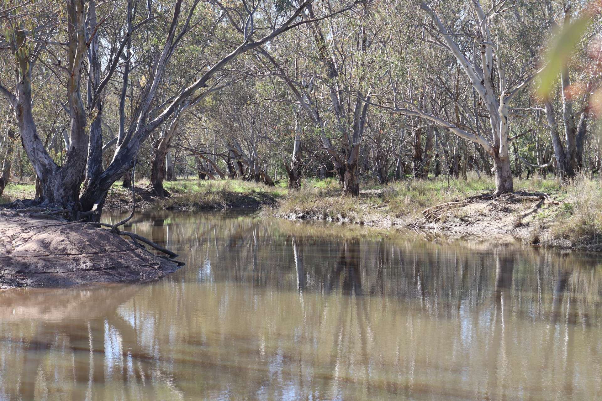 1 Yarrangong Road, Forbes For Sale by Farmbuy.com - image 18