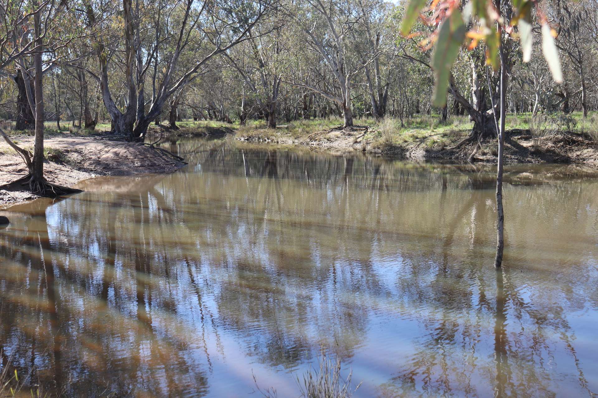 1 Yarrangong Road, Forbes For Sale by Farmbuy.com - image 21