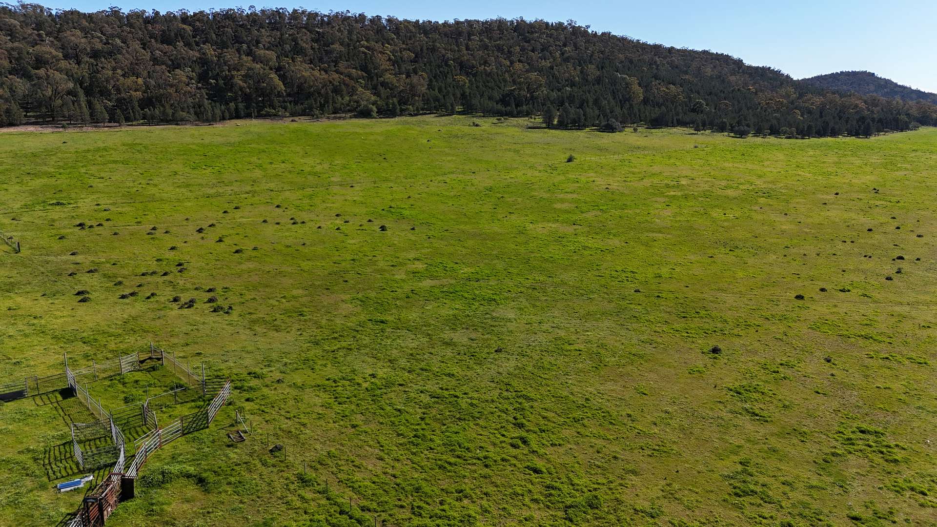 1 Yarrangong Road, Forbes For Sale by Farmbuy.com - image 5