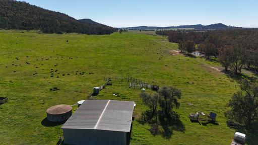 Farm For Sale - NSW - Forbes - 2871 - Affordable Grazing / Farming Country - An ideal First Farm 