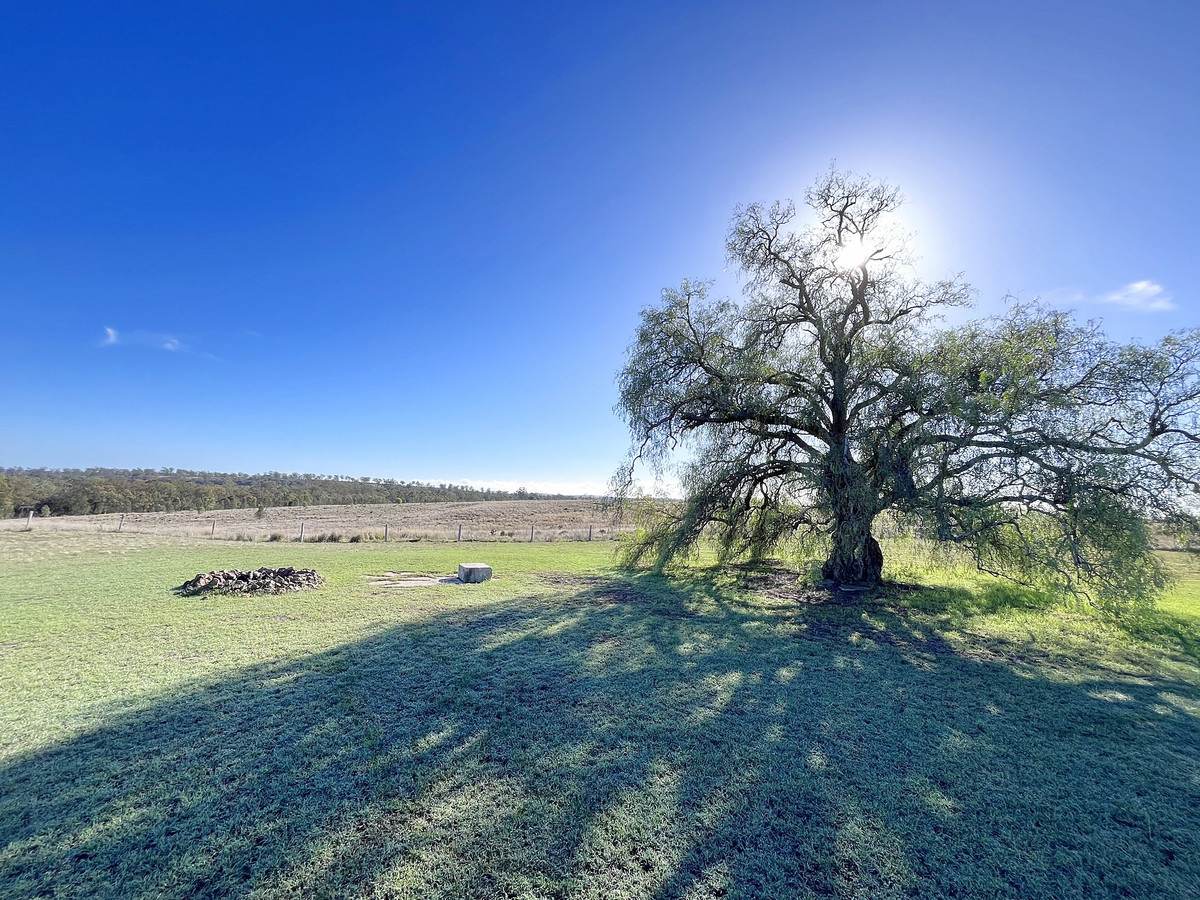 173 Pipeline Road, Meringandan For Sale by Farmbuy.com - image 29