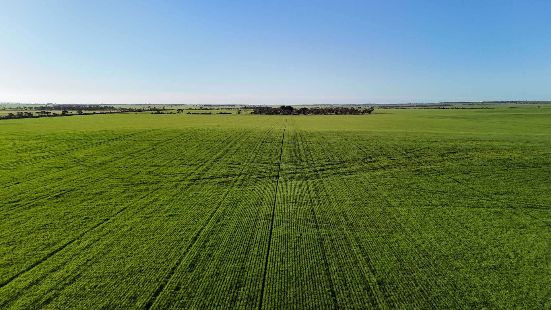 'Condowie' 1 Smitham Road, Condowie For Sale by Farmbuy.com - image 15