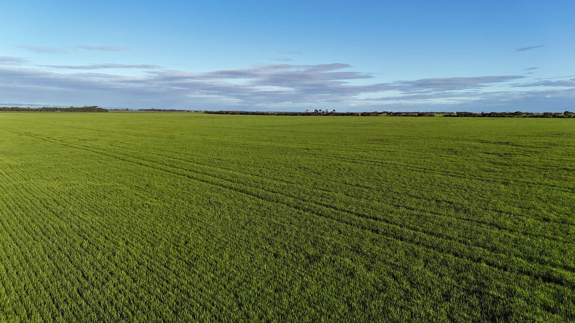 'Condowie' 1 Smitham Road, Condowie For Sale by Farmbuy.com - image 6