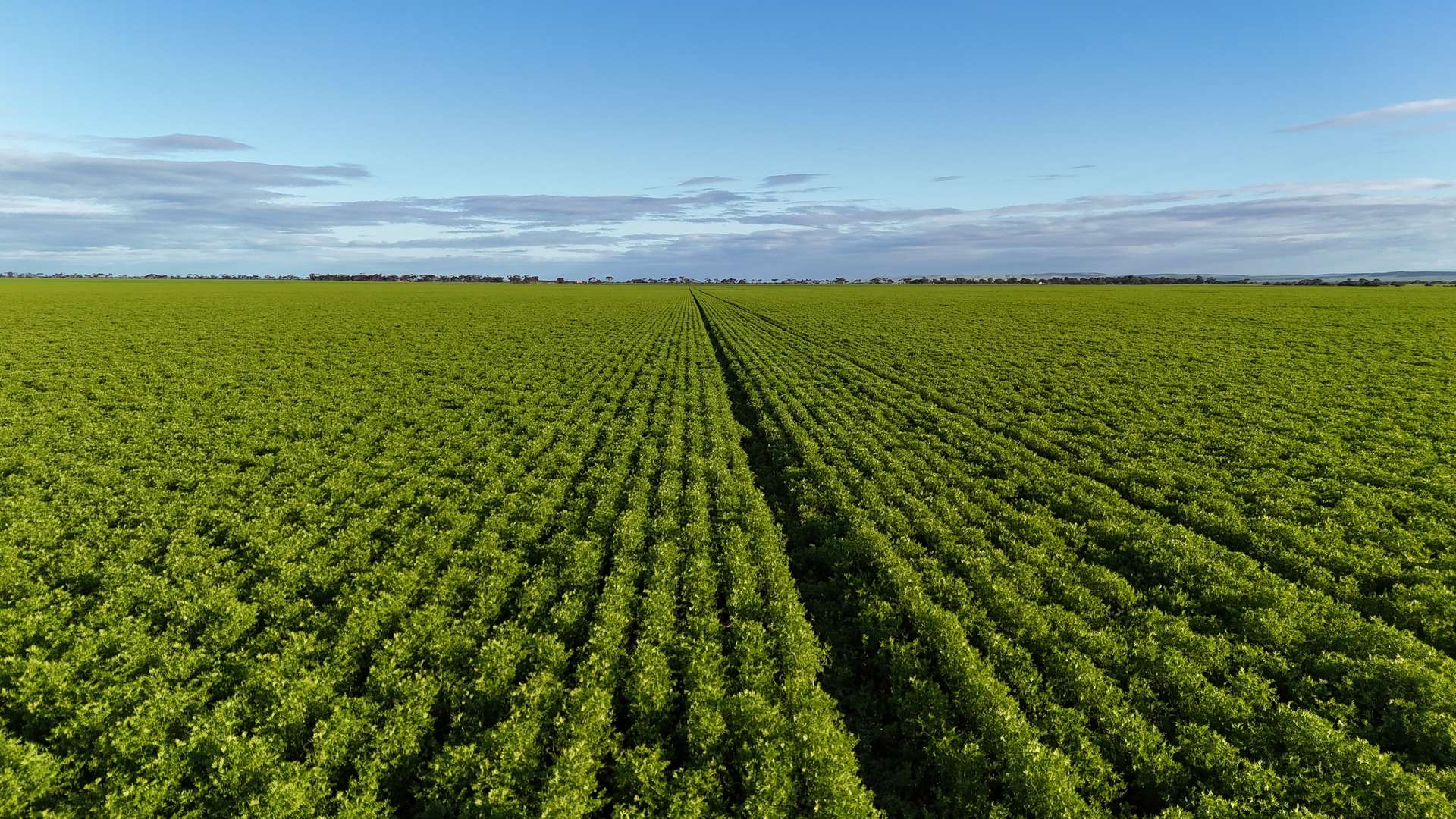 'Condowie' 1 Smitham Road, Condowie For Sale by Farmbuy.com - image 1