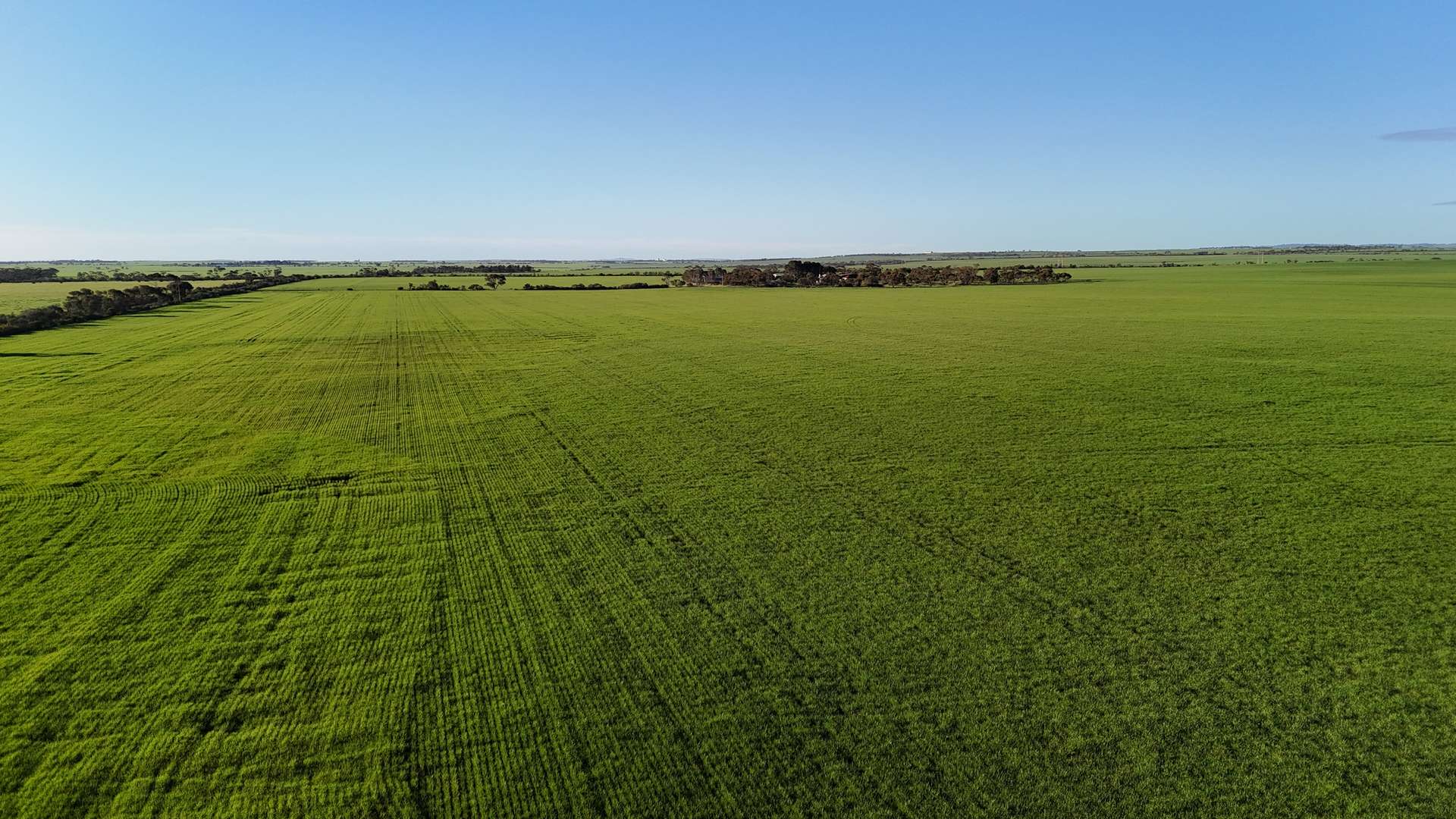 'Condowie' 1 Smitham Road, Condowie For Sale by Farmbuy.com - image 14